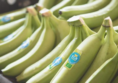 The SCB banana, much more than a tasty fruit